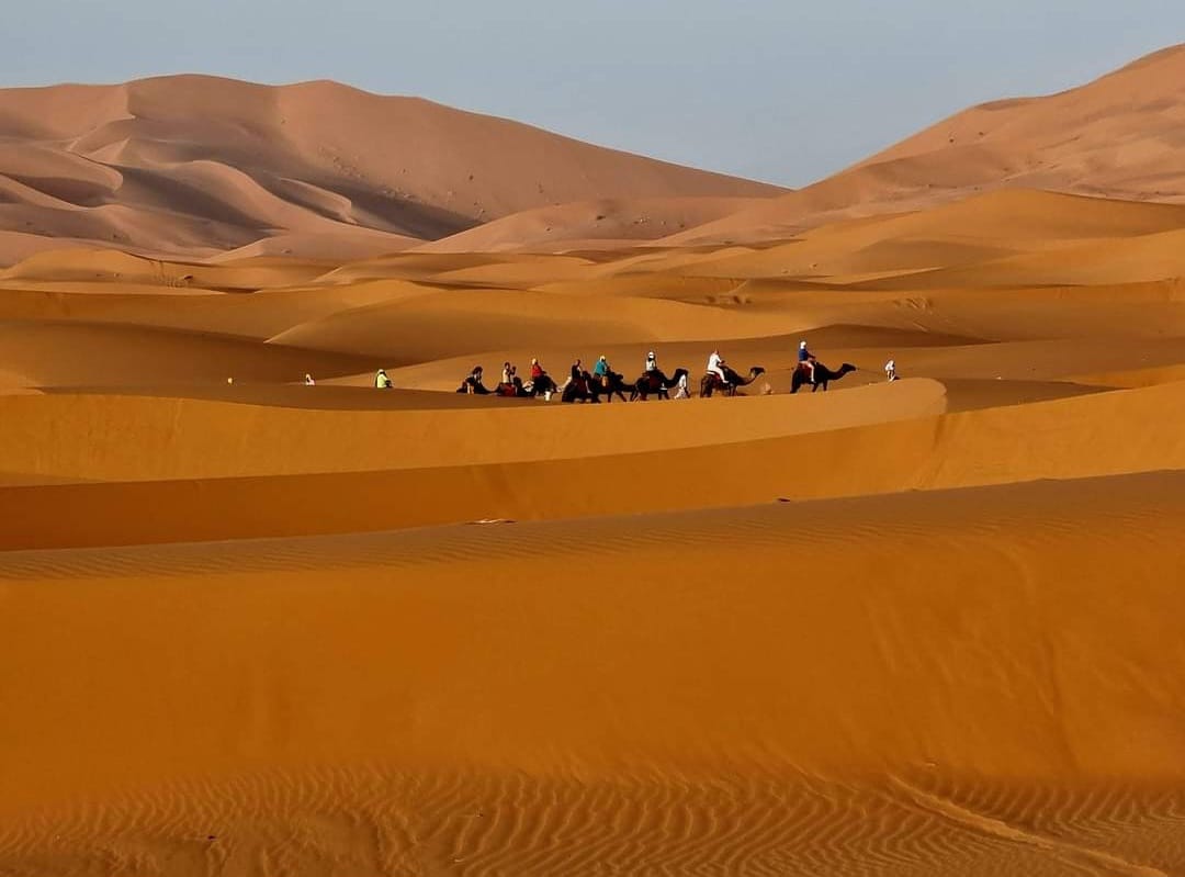 Camel ride